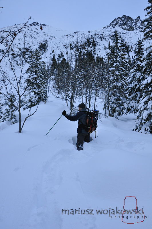 mt_gallery: na szlaku:)