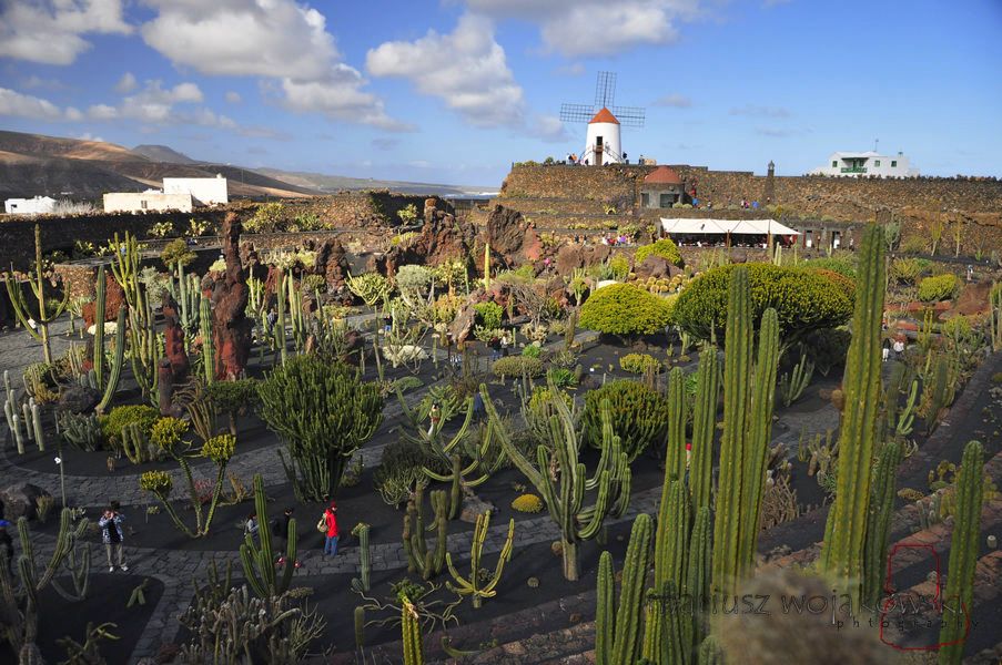 Jardin de Cactus w całej okazałości
