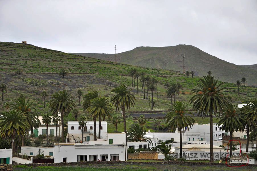 lanzarotte w lutym dolina Tysiąca Palm