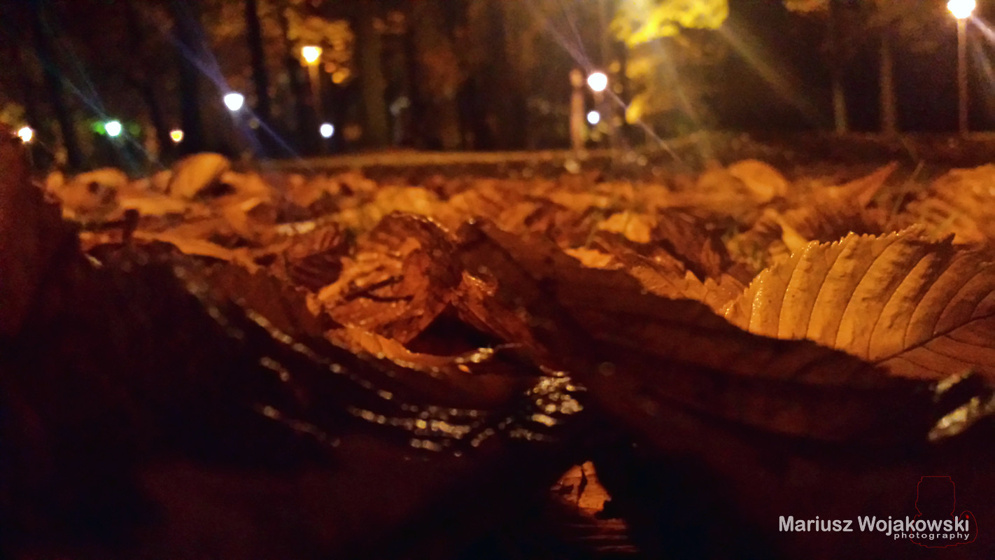 jesienna jesień i to ...nocna