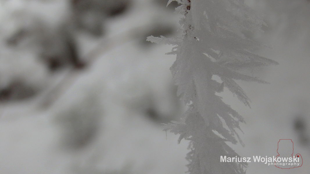 mt_gallery: Hala Krupowa - Pilica blisko a Diablak dalej 