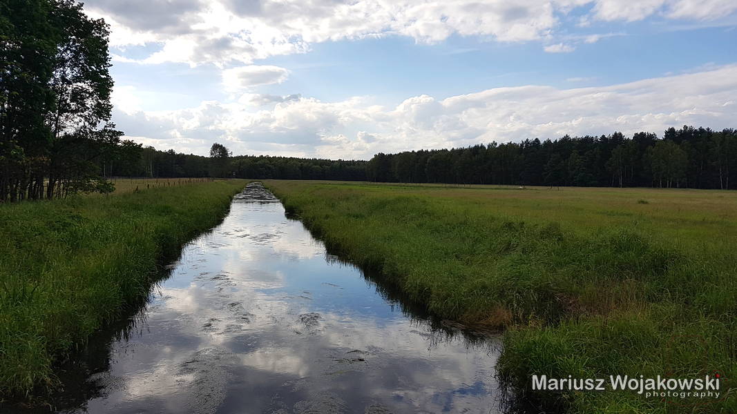 mt_gallery: na rowerze przez las przez pola