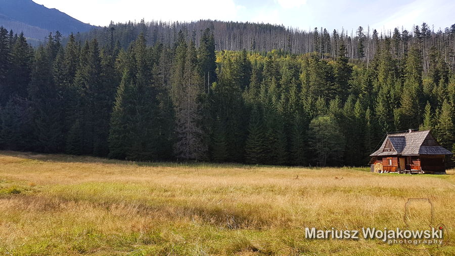Tatry po pierwszym śniegu i stara Roztoka