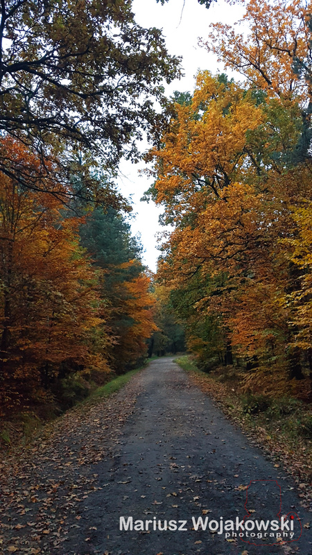 popołudniowe bieganie