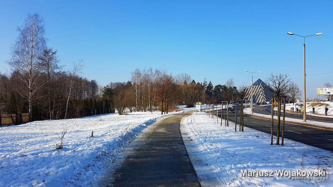 mt_gallery: nowy trening NORDIC WALKING