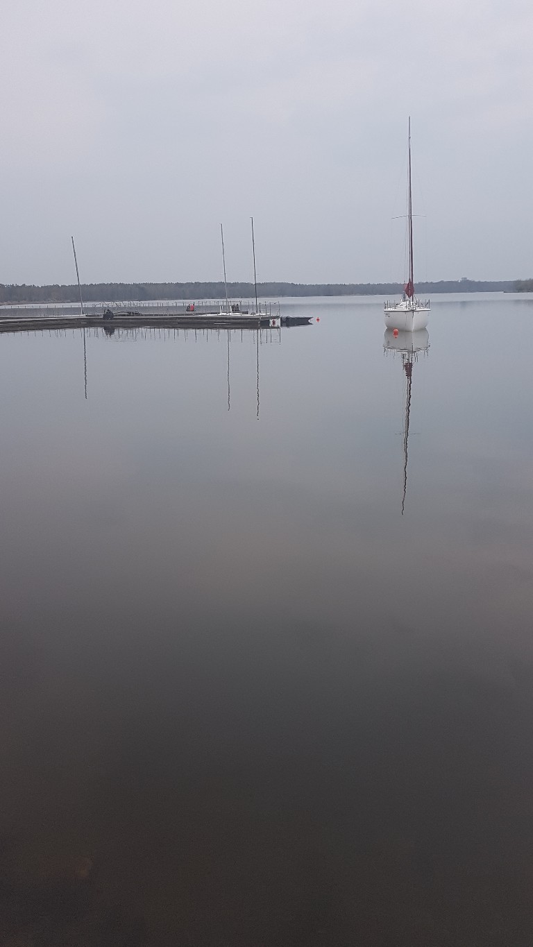 20170404 190945 768x1365