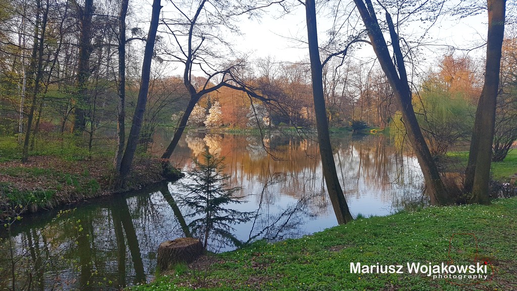 dzisiaj 50-ka... i między innymi Park i Pałac Pszczyński
