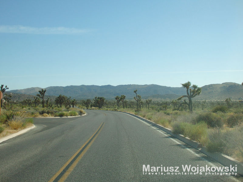 Jashua Tree National Park