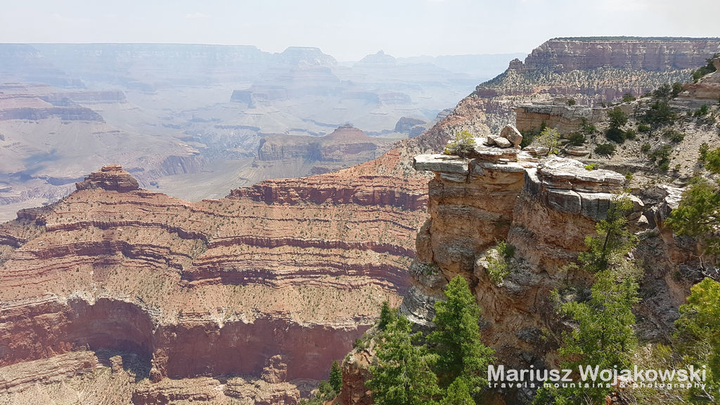 mt_gallery:RIM TRIAL