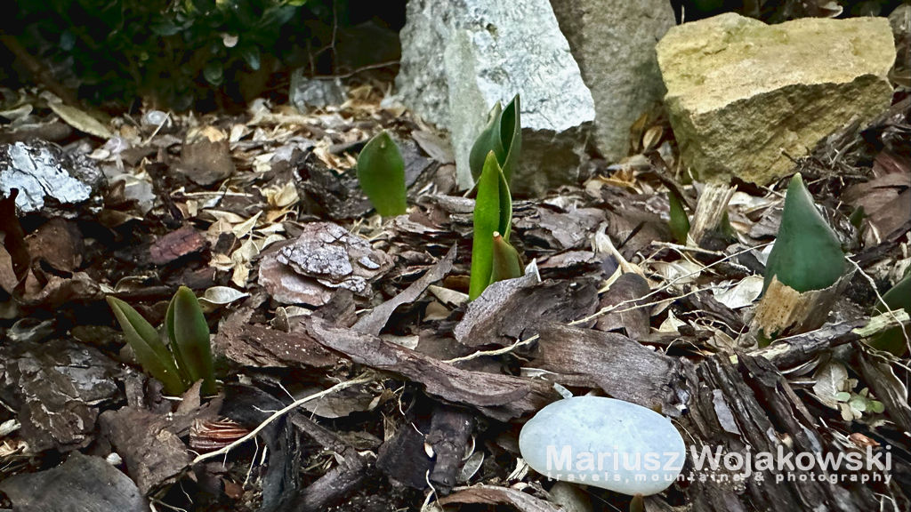 202302 oznaki wiosny 3