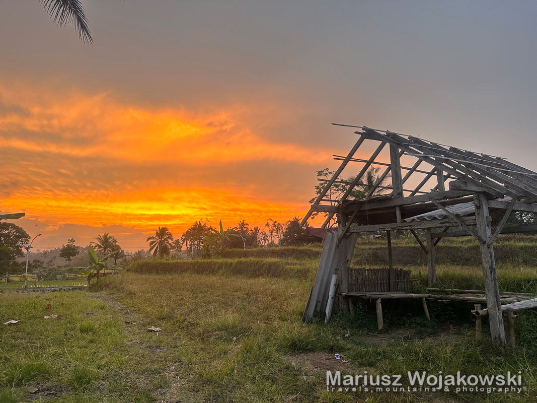202311 banyuwangi260