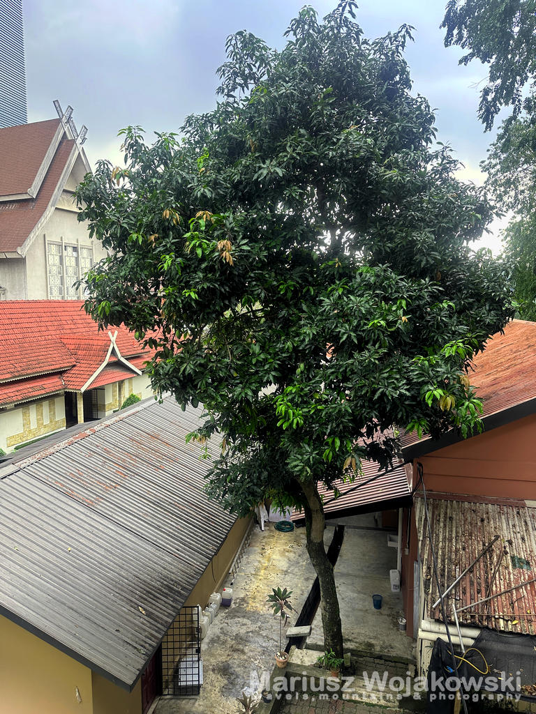 202310 kula lumpur338