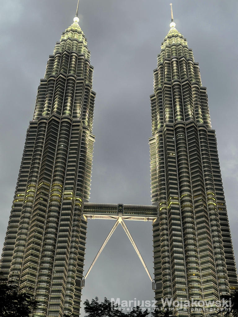 Petronas Towers