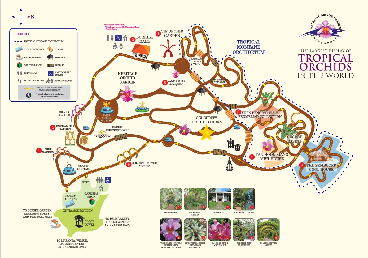 mapa tropical orchid